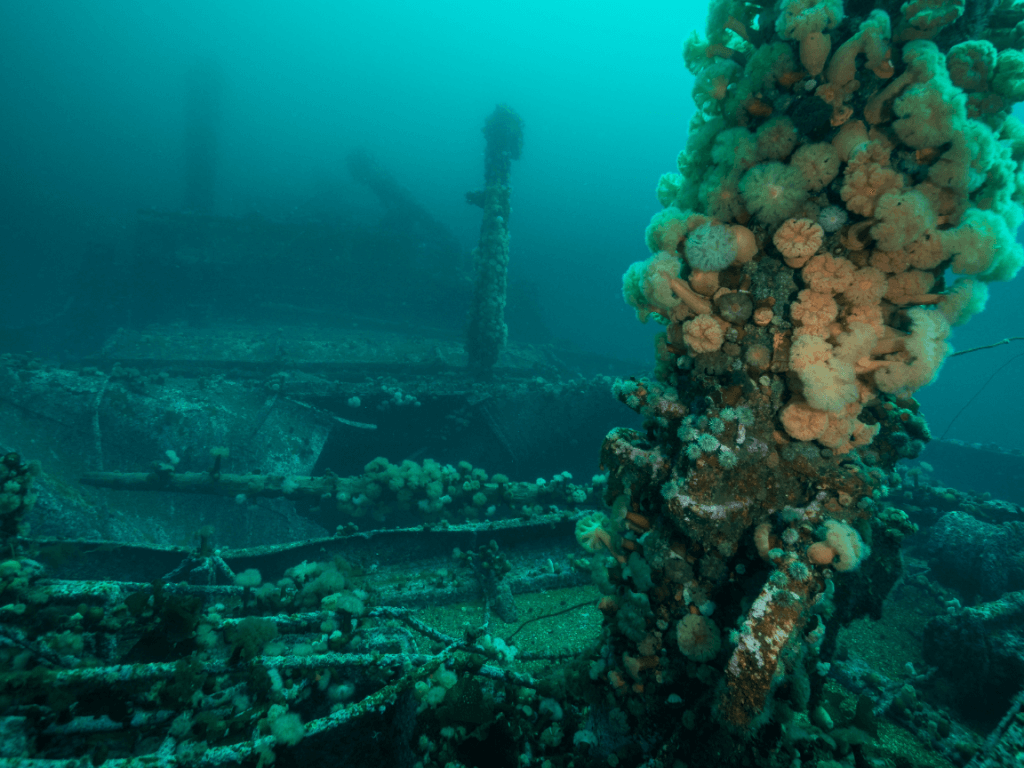 Bell Island Shipwreck, Newfoundland